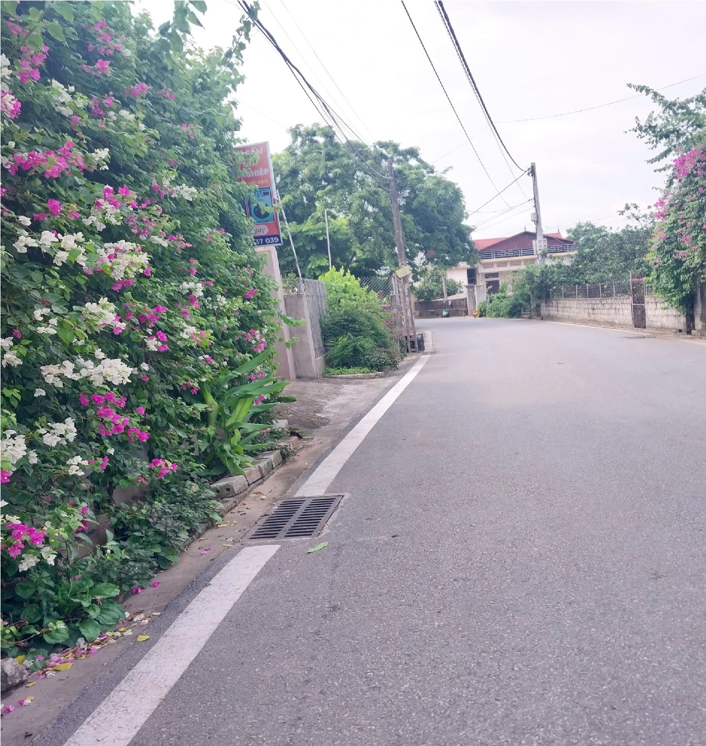 [ Tôi Chính Chủ cần Bán 75 m Đất - Văn Giang - Hưng Yên] Gần ECOPARK - MT 6.5m SĐCC. Nở hậu.